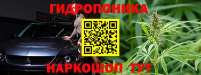 индика Краснокаменск