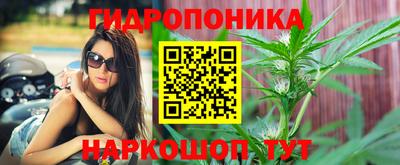 индика Краснокаменск