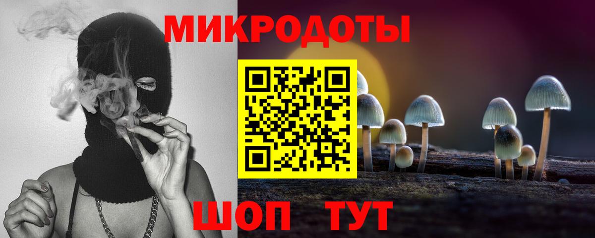 Псилоцибиновые грибы Cubensis  Вход с VPN  Ковров 