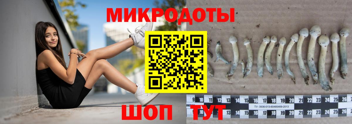 Псилоцибиновые грибы Cubensis Ковров